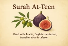 Surah At Tin to Read in Arabic, English Translation & Transliteration