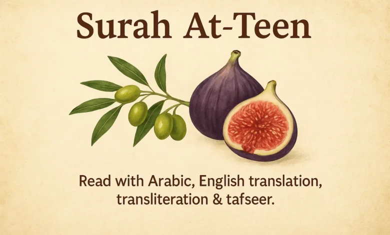 Surah At Tin to Read in Arabic, English Translation & Transliteration