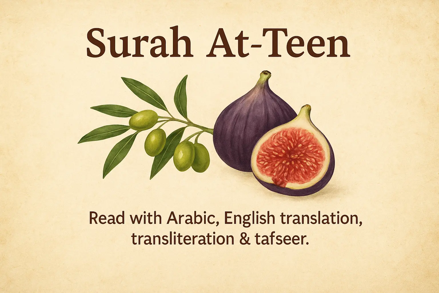 Surah At Tin to Read in Arabic, English Translation & Transliteration