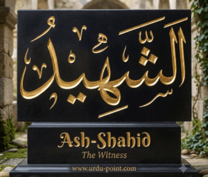 Ash-Shaheed Meaning – The Witness, one of Allah's Beautiful Names
